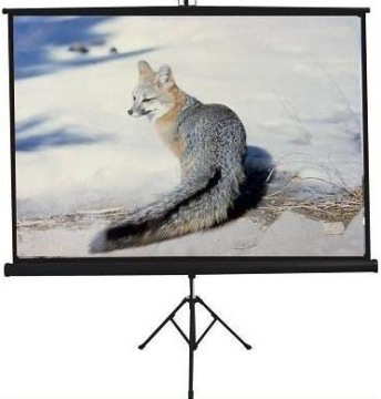 Protable Matte White Tripod Projection Screen/Glass Beaded Tripod Screen/Office tripod screen factory price