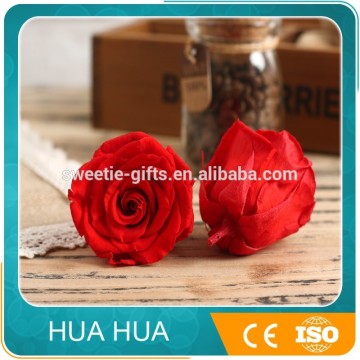 red preserved rose flower