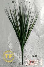 20"ONION GRASS X 7 BUSH