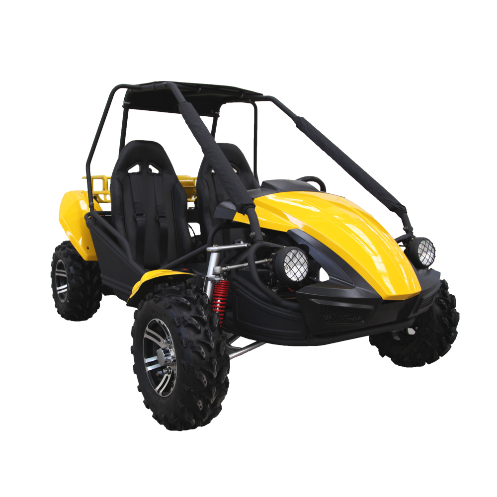 go kart 250cc dune buggy للبيع