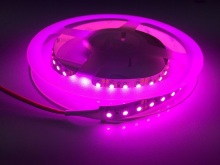 Hottest SMD3528 Pink LED Strip  Light