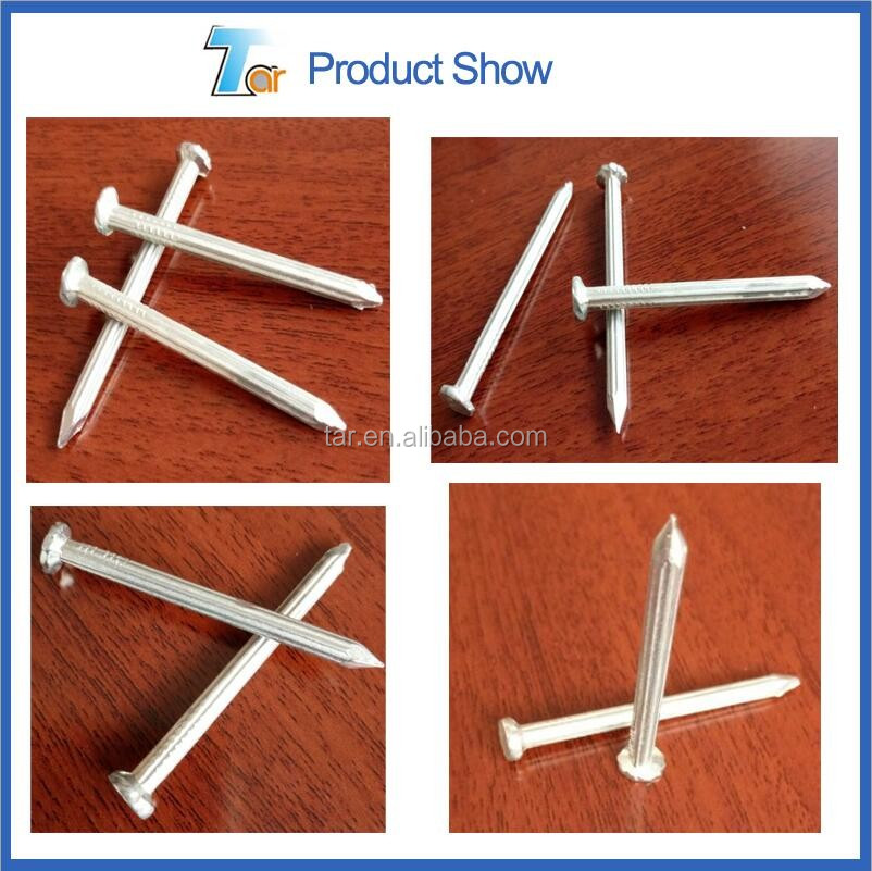 the best manufacturer in china hardened steel concrete nails