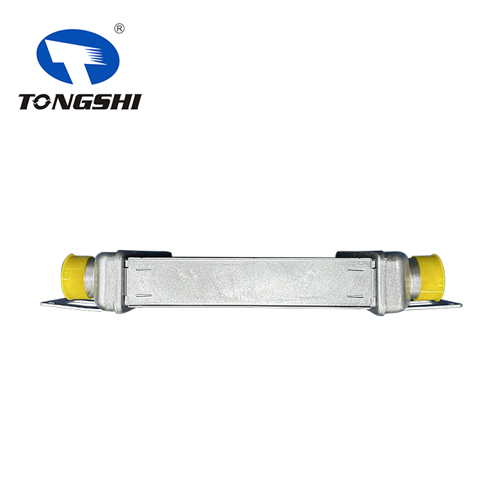 Auto Spare Part 179400W010 Aluminum Intercooler for Dutro Dyna 130HT/130HD Auto Spare Part 179400W010 Aluminum Intercooler for Dutro Dyna 130HT/130HD