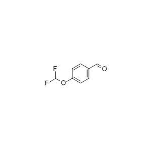 CA 73960-07-3、4-(Difluoromethoxy) ベンズアルデヒド