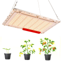 Best Grow Light 240W Samsung LM301H quantum