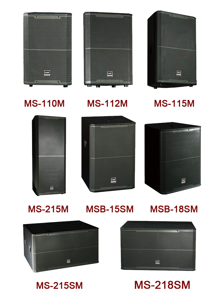 Professional Full Range Audio Loudspeaker System (MS-115M)