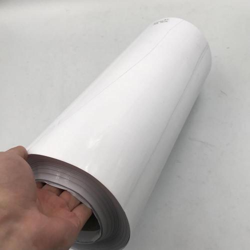 Transparent Pet Film Heat Transfer for Offset Screen Printing