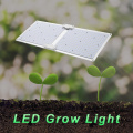 Lámpara de cultivo LED de crecimiento cuántico de gran potencia