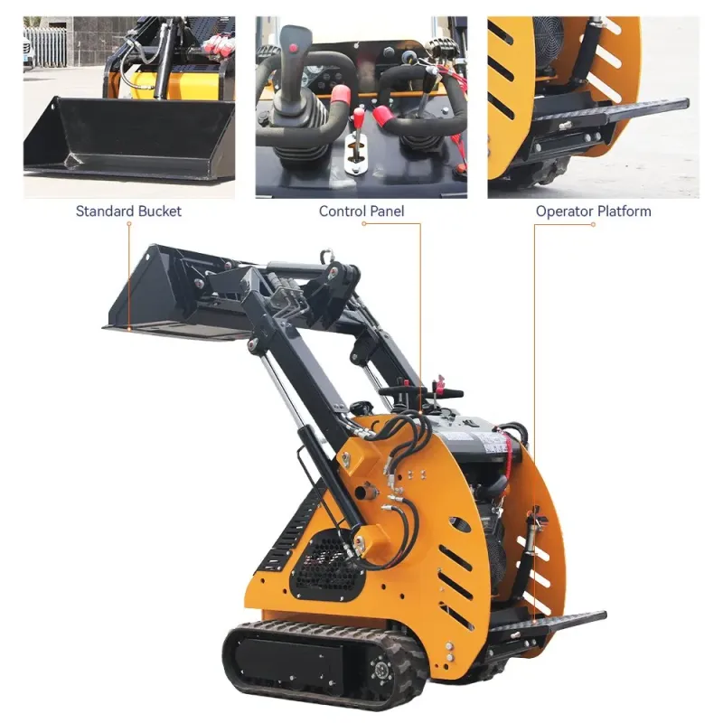 China Famous Brand Mini Loader