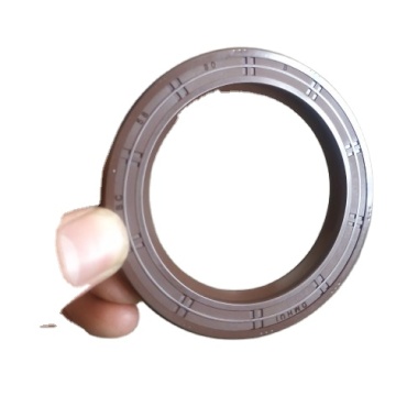 SC FKM Oil Seal OEM 19034355B