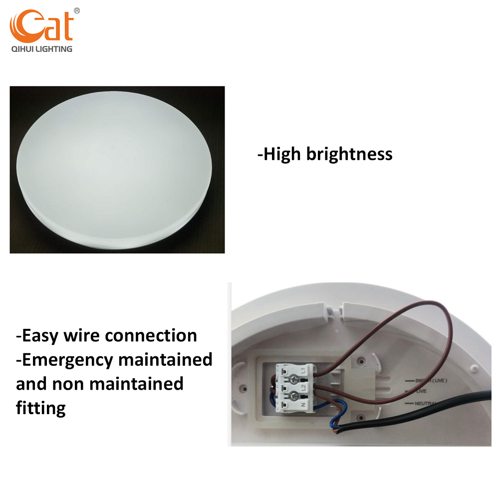 Led Emergency Ceiling Light