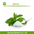 Edulcorante Planta natural Stevia Extracto de hoja Stevioside 95%