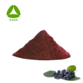 Superfood Freeze getrocknete Aronia Chockberry Frucht 99% Pulver