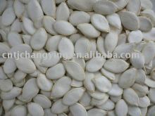 snow white pumpkin seed