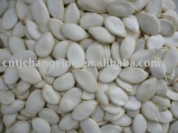 snow white pumpkin seed