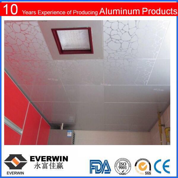 Aluminum Ceiling Tile Colored