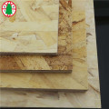 High Mositure Resistance Poplar Material OSB Board