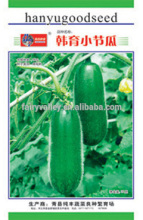 Green Winter Melon Seeds white gourd seeds For Growing-Early Green Small Winter Melon