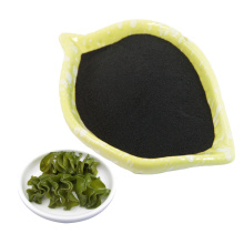 Seaweed Extract Powder Buy Online Active Ingredients Supply