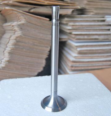 Engine Valves 4115TA