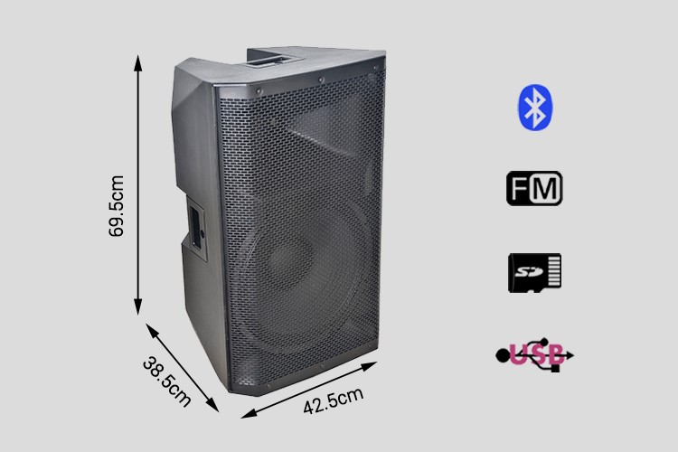 NICE PRICE 15 INCH  ACTIVE SPEAKER CABINET LW-15