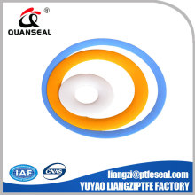 triple start etched ptfe sealing element PTFE LIPS