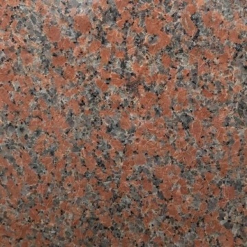Red color rough granite floor tiles 60x60