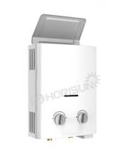 wholesale Natural type gas water heater