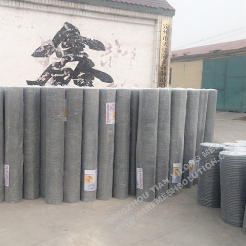 2'' x 2'' Galvanized Welded Wire Mesh