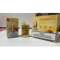 Fluum Bar TE5000 Puffs Wholesale Price Kit