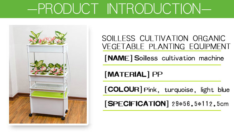 hydroponic system (6)