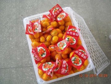 Fresh Nanfeng and Shatang Baby Mandarin