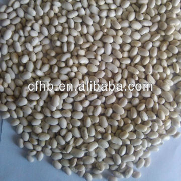 Small size White kidney beans Navy beans