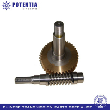 High Precision Customized Worm Gear