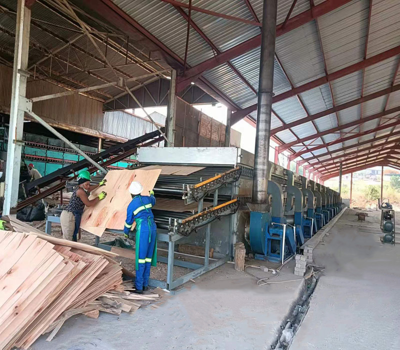 Furniertrocknermaschine Veneer Dryer Machine