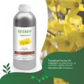 گیاه با کیفیت بالا Forsythia assansa روغن اسانس گیاهی به صورت عمده