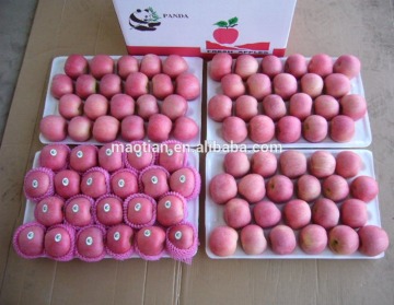 Common Cultivation Type best price fuji apple