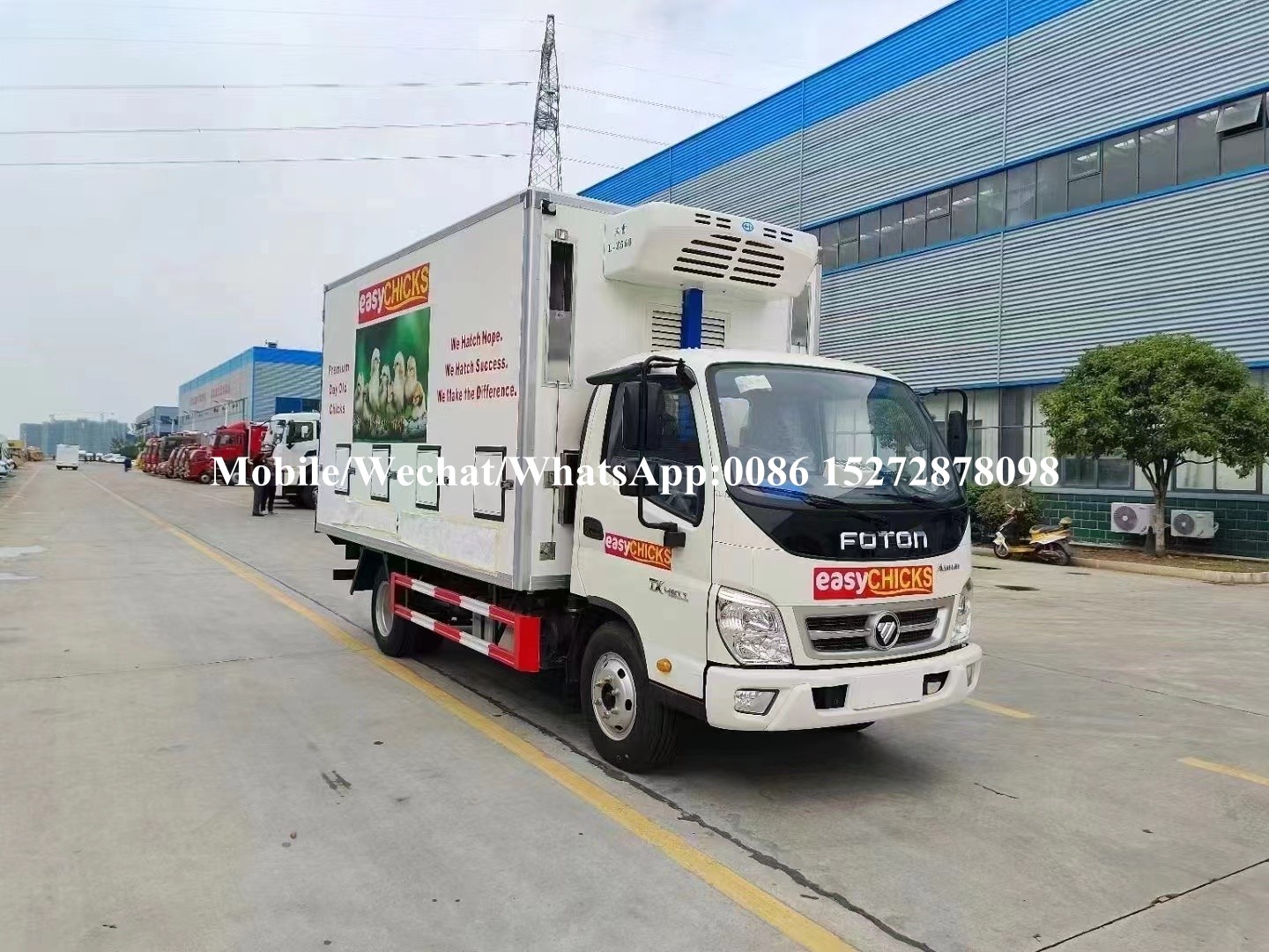 Portador de pollitos Foton (2) FOTON Chick Carrier (2)