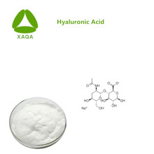 Preserve Moisture Material Hyaluronic Acid 98% Powder