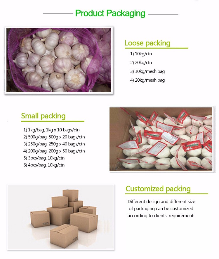 5.5 cm Factory normal White Fresh Garlic Price bulk garlic for sale garlic from China