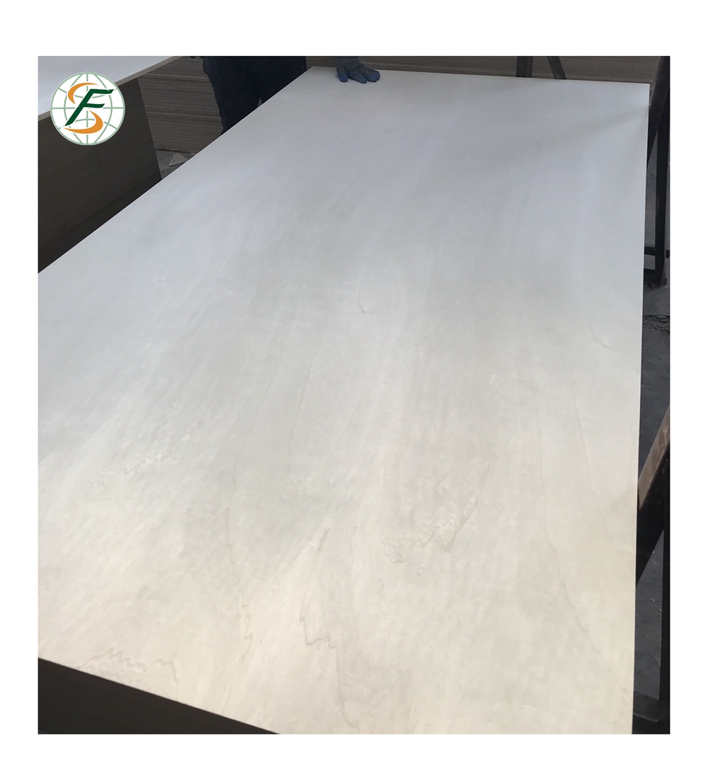 Bleached Poplar Plywood 6