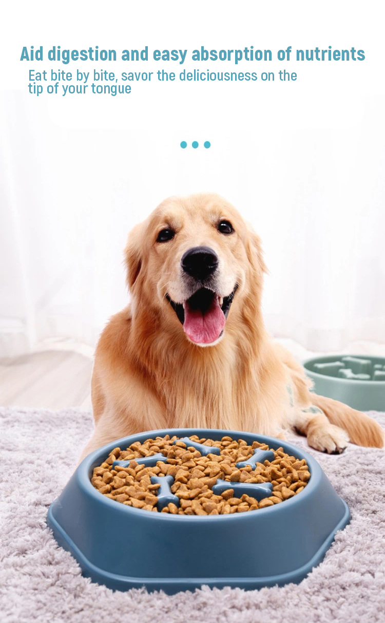 tigela de estimação pet bowl