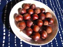 roasted chestnut