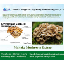 Best Maitake Mushroom Extract Powder 10:1