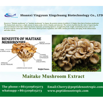 Best Maitake Mushroom Extract Powder 10: 1