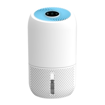 Compact Home Dehumidifier with Air Purifier