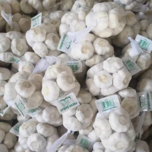 China pure white garlic factory sale, new crop fresh garlic export 2021