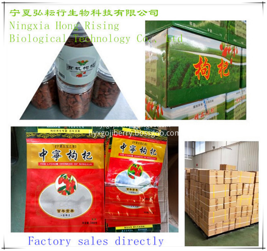 Goji Berry Packing_1