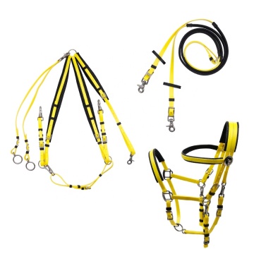 Full Set Horse Equestrian Endurance Racing Bridle Reins & Halter