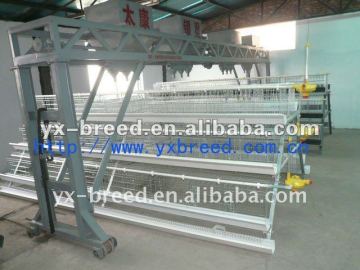 Chinese Silver Star rearing equipment for chicken